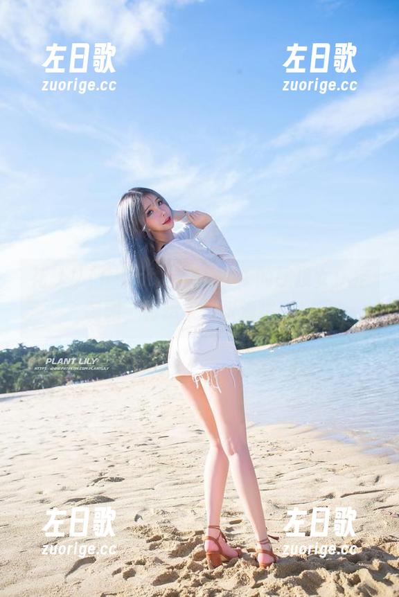 花リリ(Plant Lily)带来的屋顶女仆定制图，真想来一张海报版！